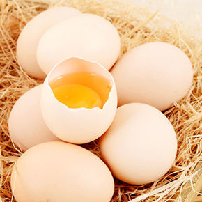 &#x5206;&#x985E;&#x5716;&#x7247; &#x86CB;&#x985E;